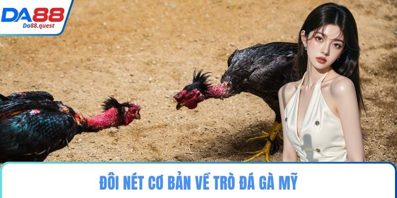 Đôi nét cơ bản về trò đá gà mỹ